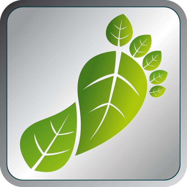 Footprint impronta ambientale