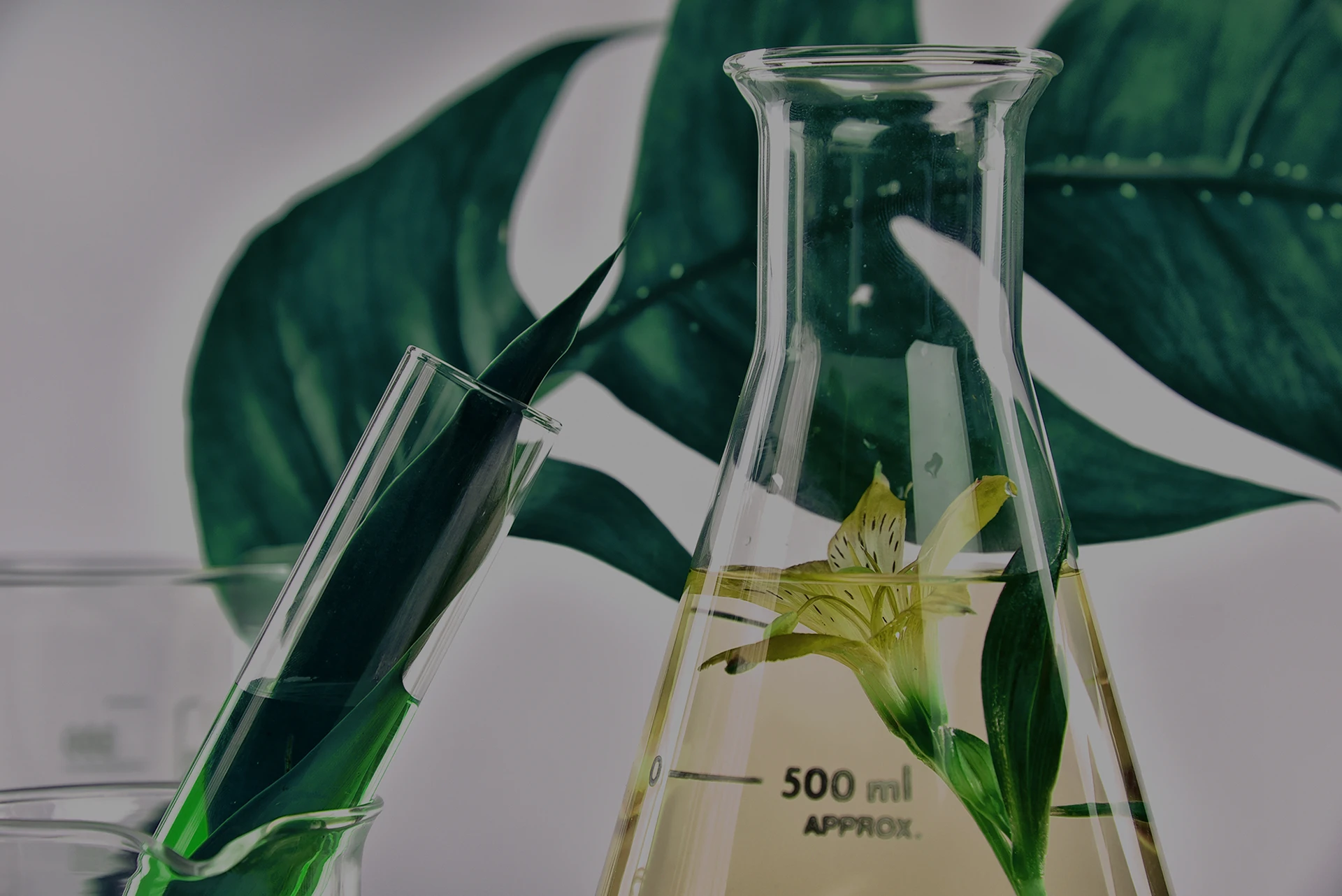 Laboratory glassware representing sustainable chemical solutions